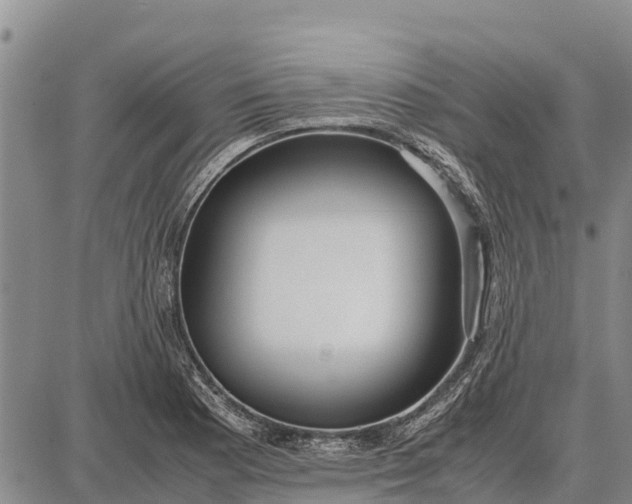 X0000087691177200705181747