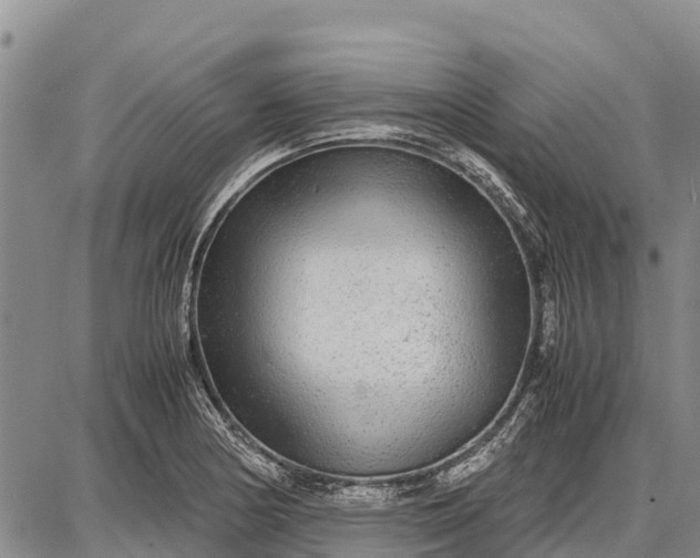 X0000087691178200705181747