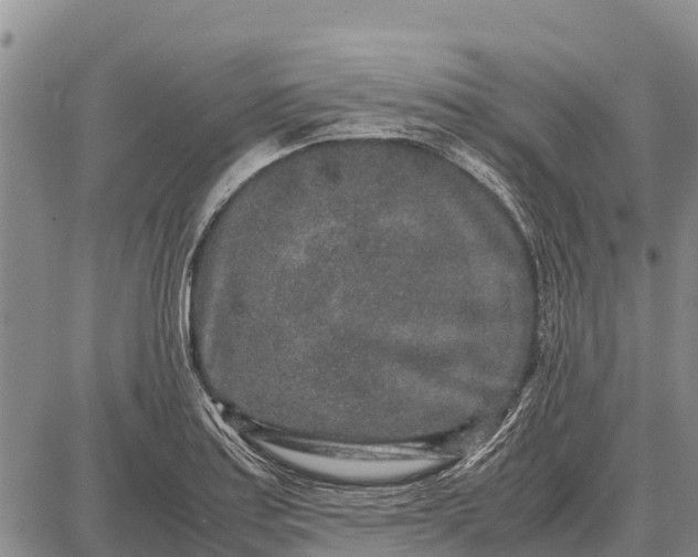 X0000087691179200705181747