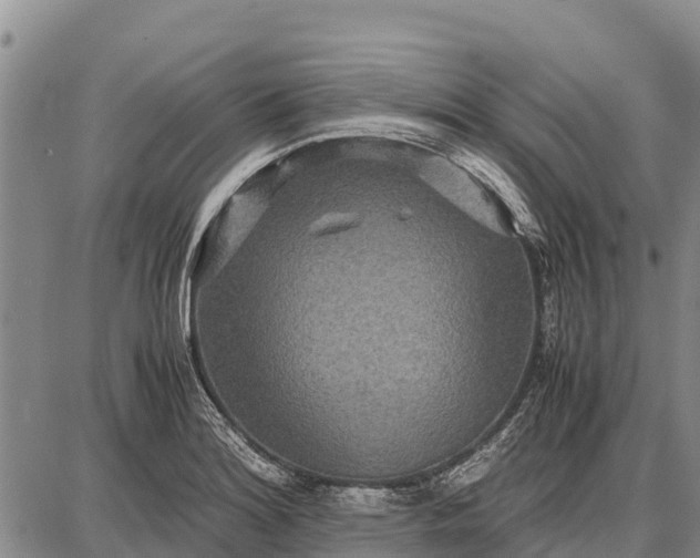 X0000087691180200705181747