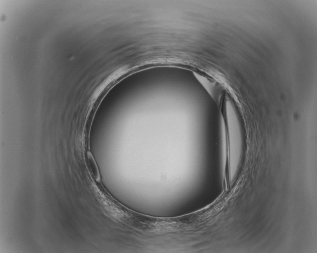 X0000087691181200705181747