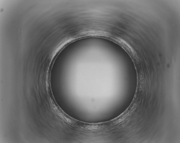 X0000087691182200705181747