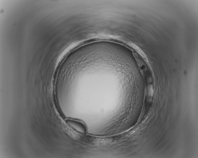 X0000087691183200705181747