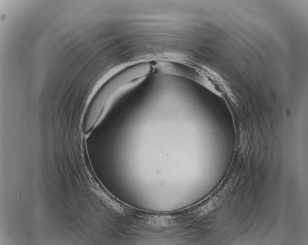 X0000087691184200705181747