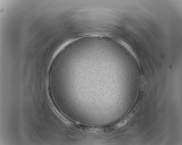 X0000087691187200705181747