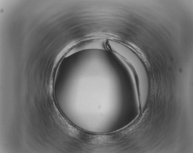 X0000087691188200705181747