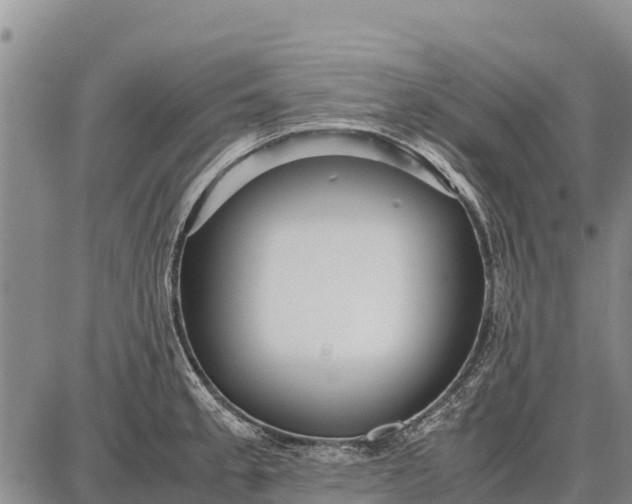 X0000087691189200705181747