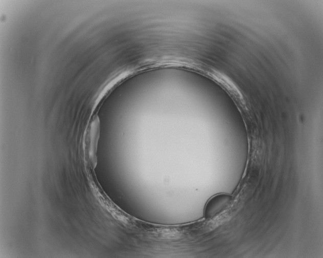 X0000087691190200705181747