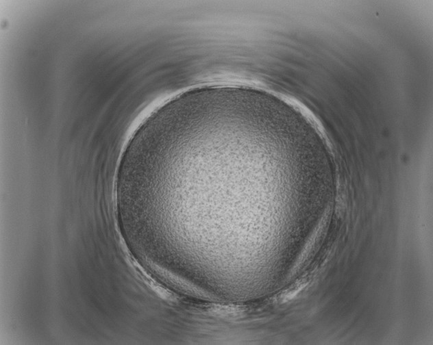 X0000087691191200705181747