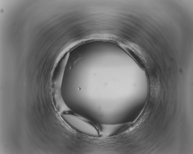 X0000087691192200705181747