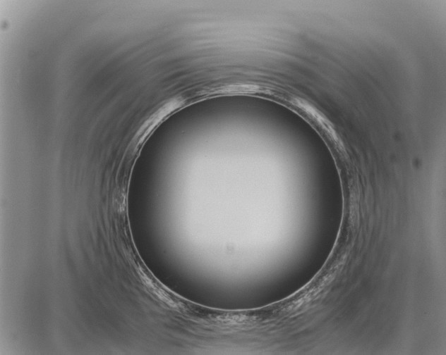 X0000087691193200705181747