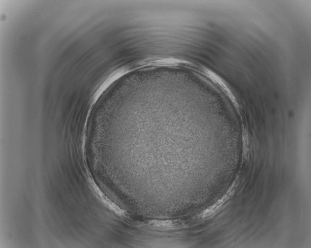 X0000087691194200705181747