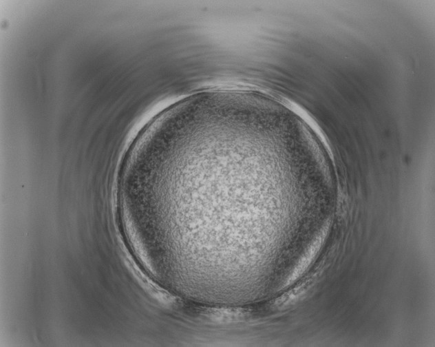 X0000087691195200705181747