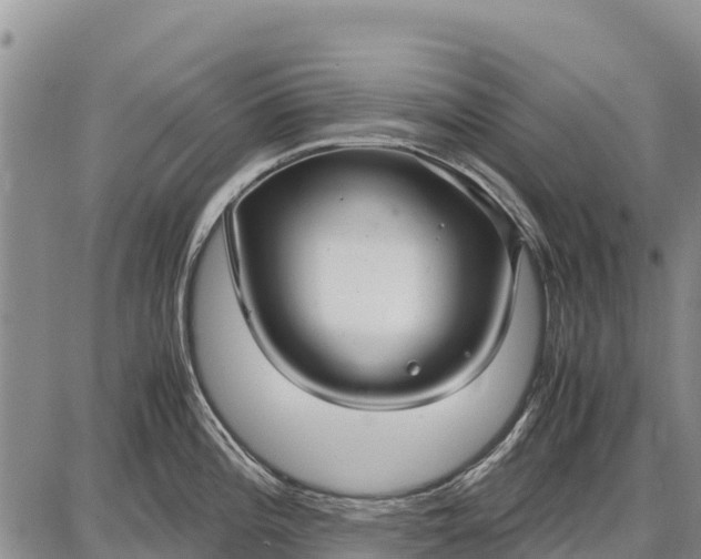 X0000087691196200705181747