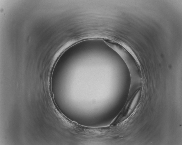 X0000087691197200705181747