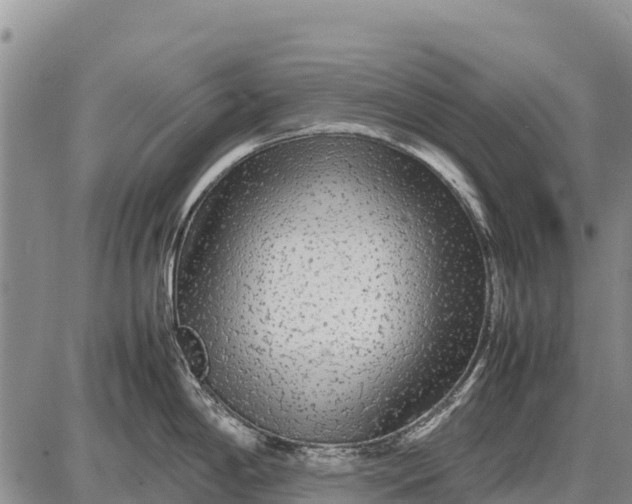 X0000087691198200705181747