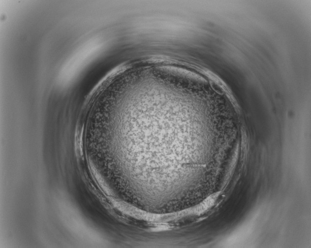 X0000087691199200705181747