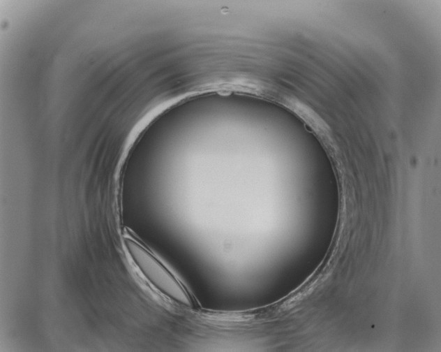 X0000087691200200705181747