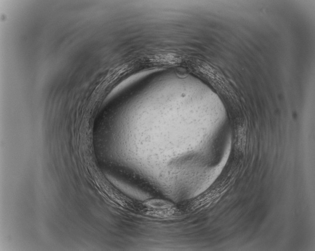 X0000087691201200705181746