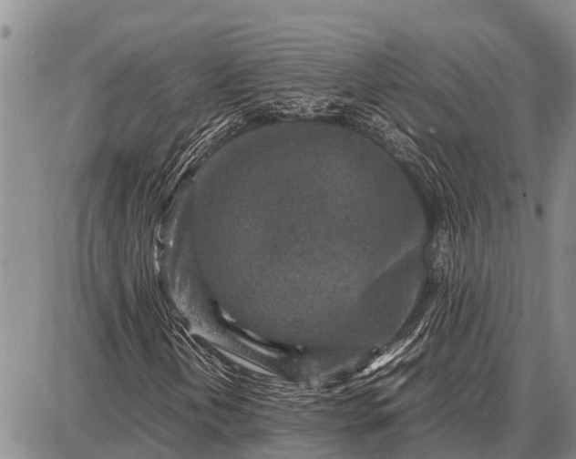 X0000087691202200705181746