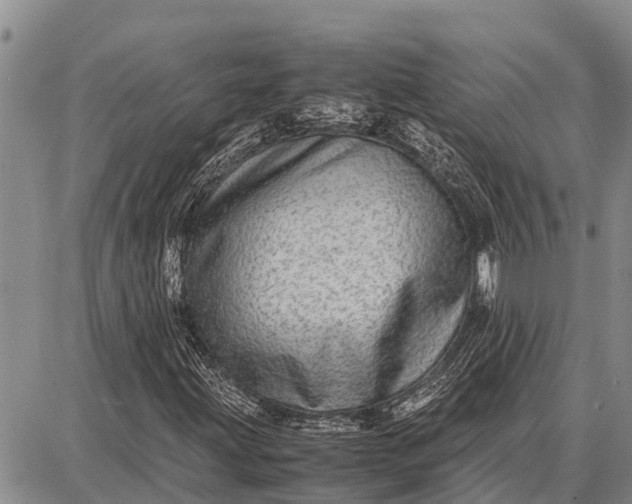 X0000087691203200705181746