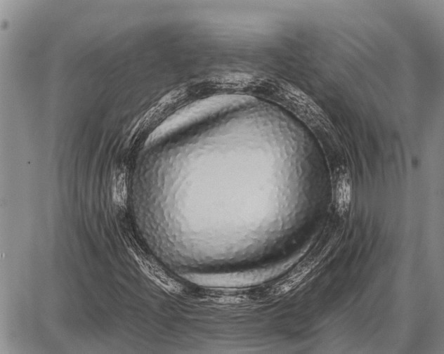 X0000087691204200705181746