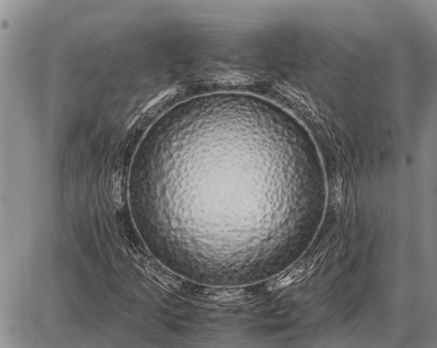 X0000087691205200705181746