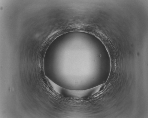 X0000087691206200705181746