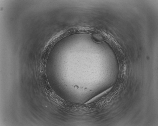 X0000087691207200705181746