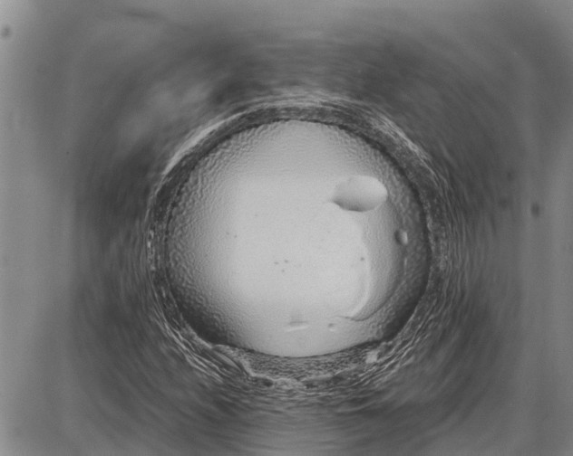 X0000087691208200705181746