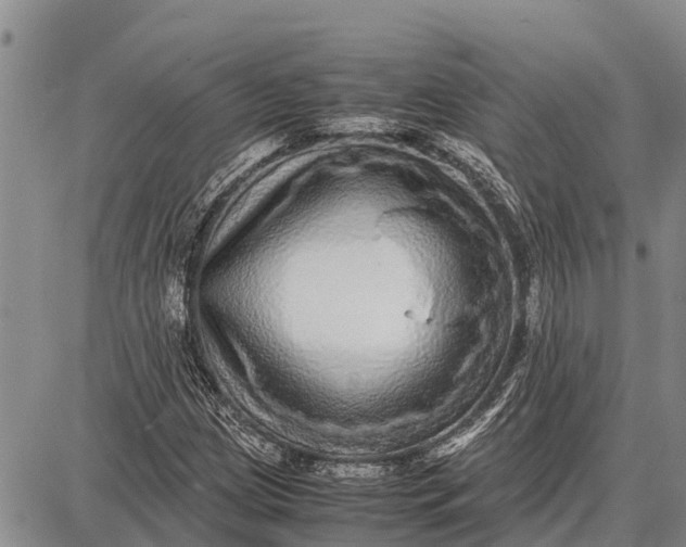 X0000087691209200705181746