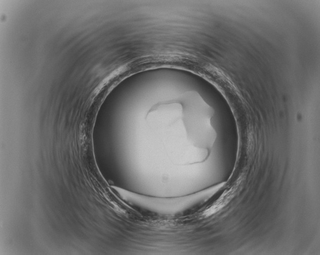 X0000087691210200705181746