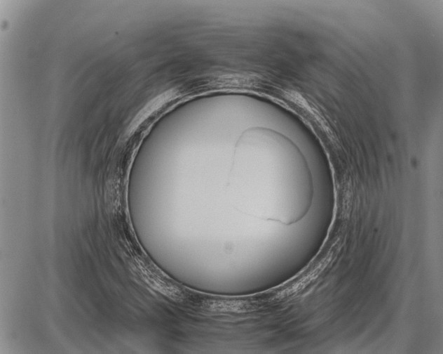 X0000087691211200705181746