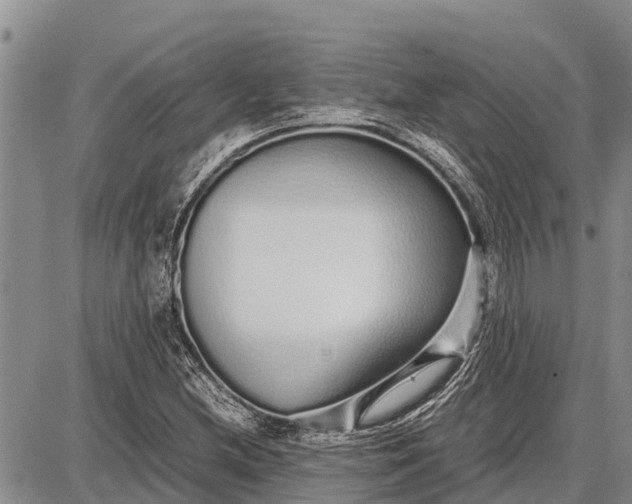 X0000087691212200705181746