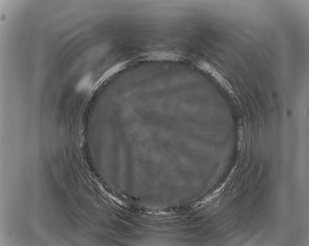 X0000087691213200705181746