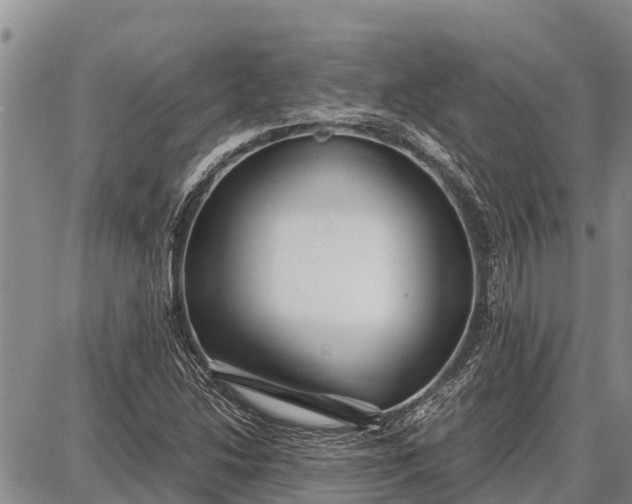 X0000087691214200705181746