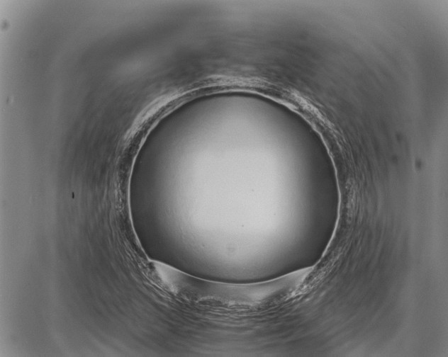 X0000087691215200705181746