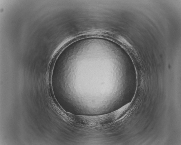 X0000087691216200705181746