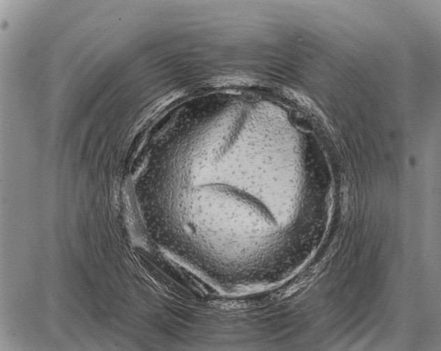 X0000087691217200705181746