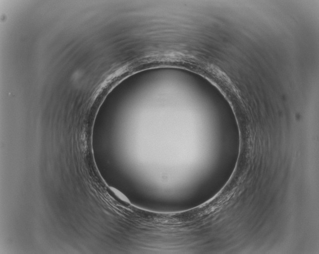 X0000087691218200705181746