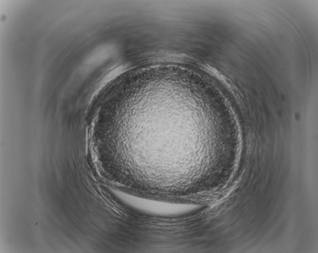 X0000087691219200705181746