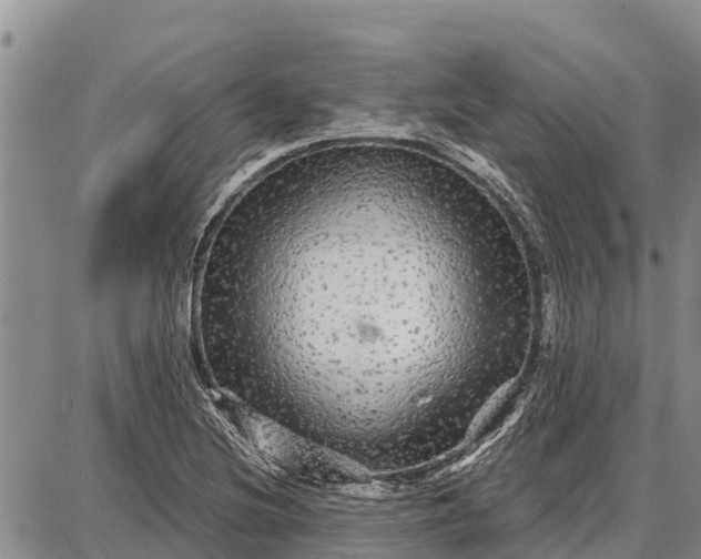 X0000087691220200705181746