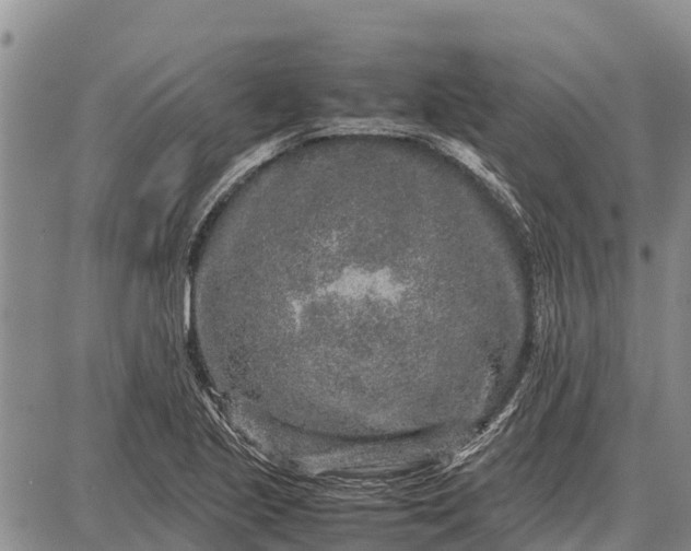 X0000087691221200705181746