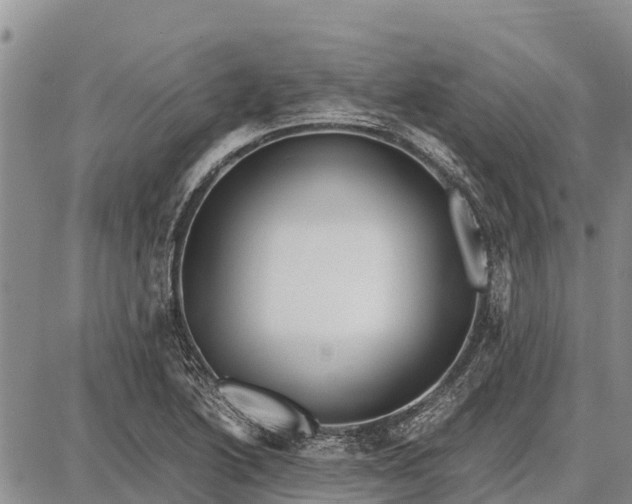 X0000087691222200705181746