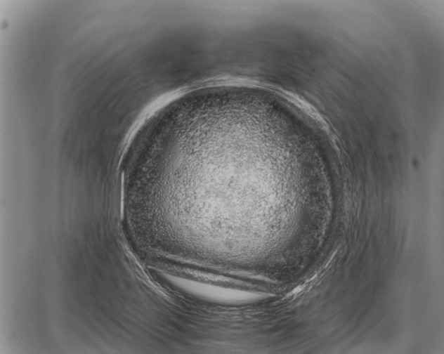 X0000087691223200705181746