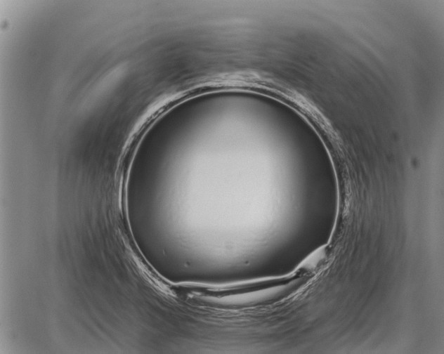 X0000087691224200705181746