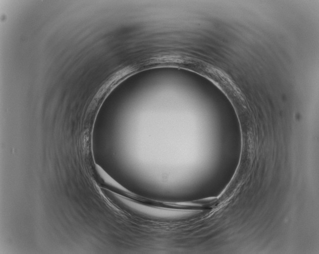 X0000087691225200705181746