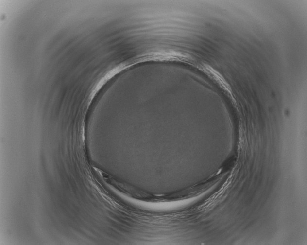 X0000087691226200705181746