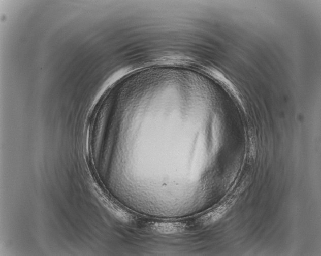 X0000087691227200705181746