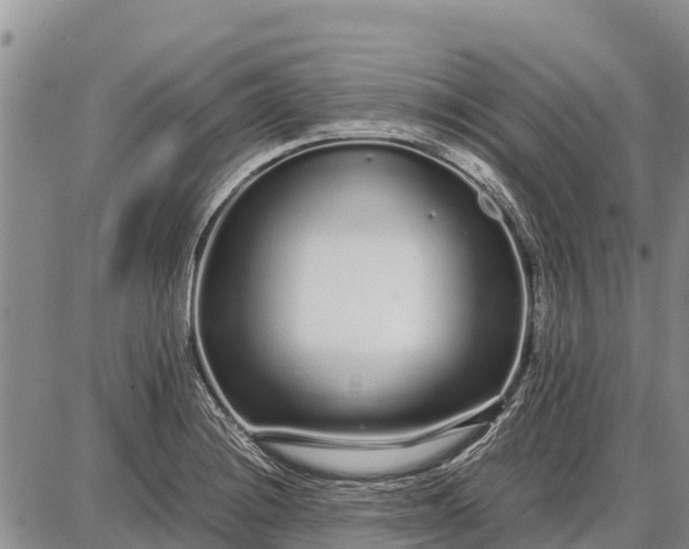 X0000087691228200705181746